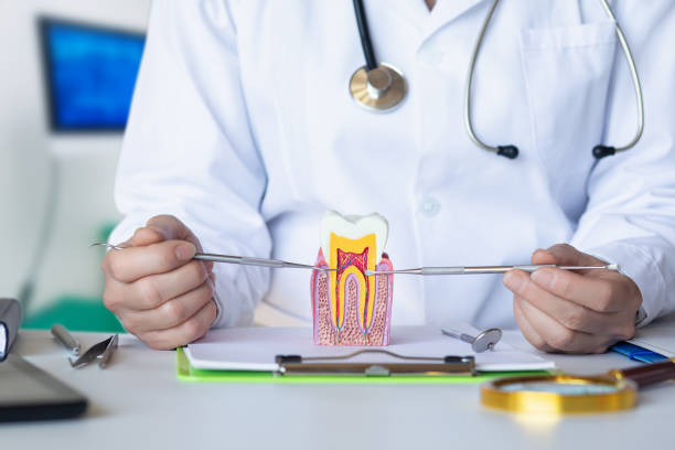 Best Urgent Care for Lost Fillings or Crowns in Cave Springs, AR